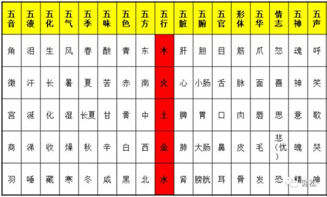 一字五行属什么|一字的五行属什么